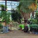 자연담은 이미지