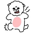 블루밍 펫 살롱 이미지