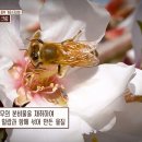 지혜약국 이미지