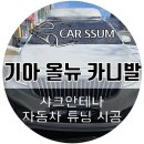 광주 카니발 루프박스 달린 차량 순정 샤크안테나 파손 교체 설치장착 튜닝 수리 시공