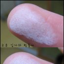 프레스트