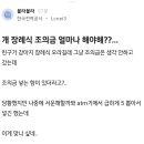 강아지 장례식 조의금 얼마씩 해야해? 이미지