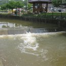 화산면사무소 이미지