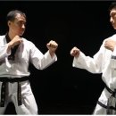 용인대MTA태권도 이미지