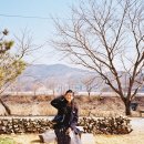 세종카메라 이미지