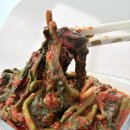 수연마트 | 전라도김치가 역시 다르네, 돌산수연갓김치 열무김치 택배 후기