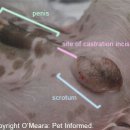 하일동물병원 이미지