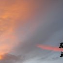 바람이 좋은 저녁 이미지