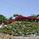 장미별장 이미지