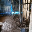 염소우리 이미지