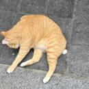 우차본점 이미지