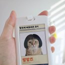 메이트 동물병원 | 고양이 건강용품 추천 : 팡드미 벳메이트 VETMATE 혈당측정기 찐후기