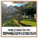 미원 경주이씨 묘역 | 대자동 산기슭에서 만난 역사, 경은부원군김주신선생신도비