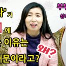연세마음향기상담센터