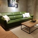 까사올리브 이미지