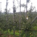 경호농장 이미지