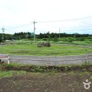 탐라승마장 이미지