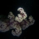 남해-269 이미지