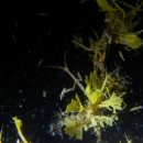 남해-284 이미지