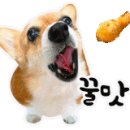 수남호