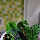 농부의 꿈 이미지