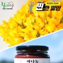 마루봄 이미지
