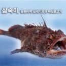 삼숙이 - 북구 | 삼숙이