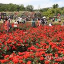 장미로 61 이미지