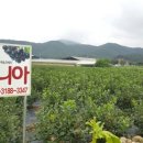 중리농장 이미지