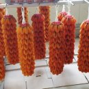 김종선농장 이미지