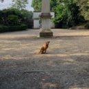 게임투게임 이미지