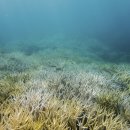 산호유통 이미지