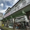 그린펫클럽 이미지