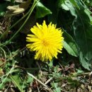 향기2로 이미지