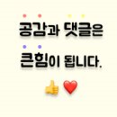 [째미&#39;s 결혼준비 10단계]웹투어 신혼여행 몰디브 ⑨ 카기리조트 Nonna 레스토랑/논나, 추가요금...