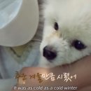 선녀와 강아지 이미지