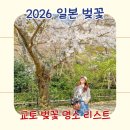 11650-7-69-28 | 2026 오사카 교토 벚꽃 투어 | 일본 벚꽃 개화 시기 예상 및 항공권 할인