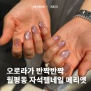 네일메리엣 | 자석젤네일 예쁜곳 대전 월평동 메리엣 후기