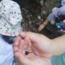 봉의초등학교 병설유치원 이미지