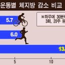 와사 이미지