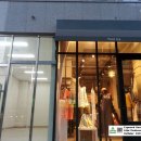트리니떼