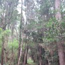 칠천량해전길 이미지