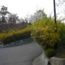 서곶공원 이미지