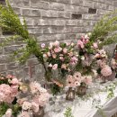 다르미앙 이미지