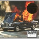 Feel It Still - Portugal. The Man 이미지