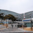 펫 아지트 이미지