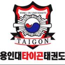 용인대타이곤 태권도 체육관 이미지