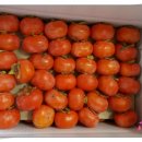 반시홍시 이미지