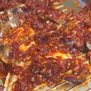 신관동 착한갈비 앞 CCTV | 남미새도 여미새도 아닌 그냥 미새 등장