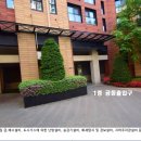 한빛공원(1) Daum카페